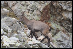IMG_1583  